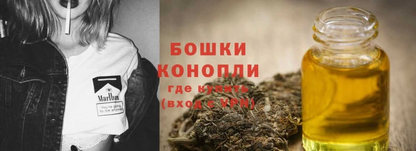 прущие грибы Куйбышев
