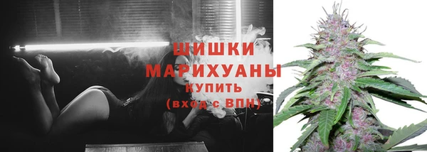 прущие грибы Куйбышев
