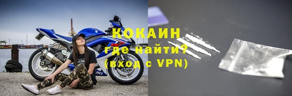 прущие грибы Куйбышев