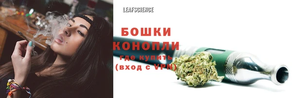 прущие грибы Куйбышев