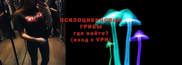 индика Лагань
