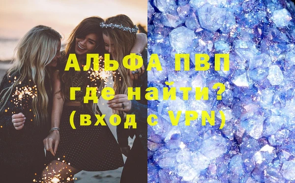 прущие грибы Куйбышев