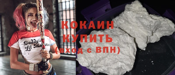 прущие грибы Куйбышев