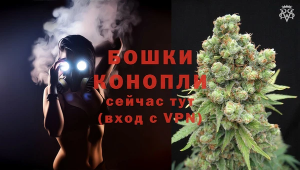прущие грибы Куйбышев