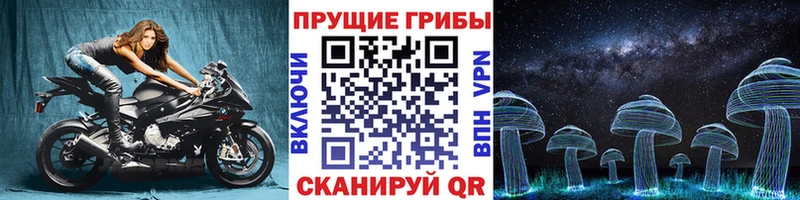 MEGA как зайти  сколько стоит  Маркс  Псилоцибиновые грибы ЛСД 