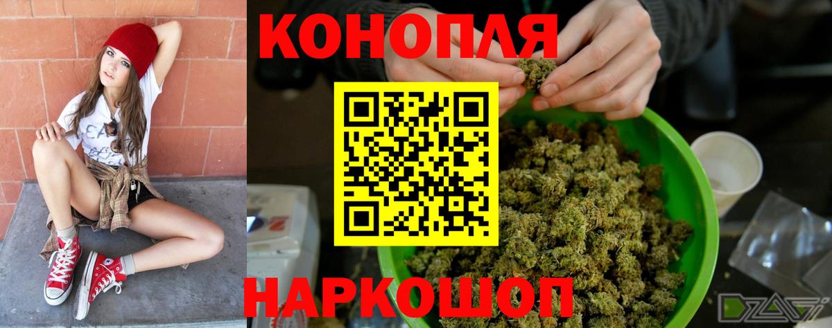 Бошки марихуана White Widow  Маркс  Марихуана ГИДРОПОН  Каннабис White Widow 
