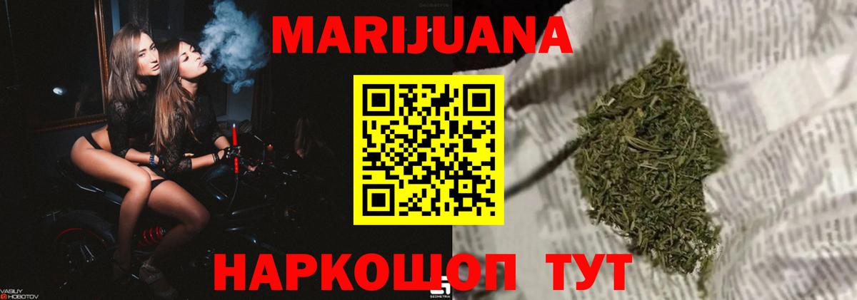 Каннабис сатива Маркс